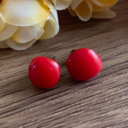 Fused Glass Earring Studs | Scarlett - FGE39